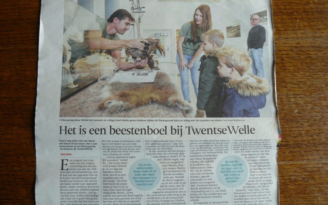 Twentse Welle (NL)