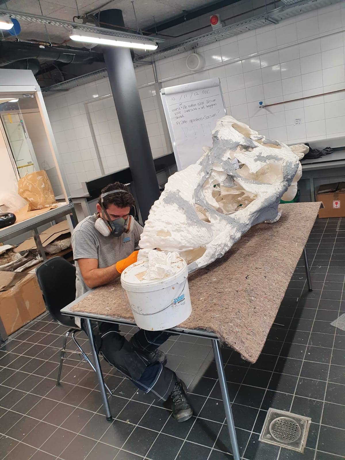 Fossilien & Dinosaurier | 3D-print Schädel T-Rex Trix | Naturalis Biodiversity Center | Nagasaki Japan