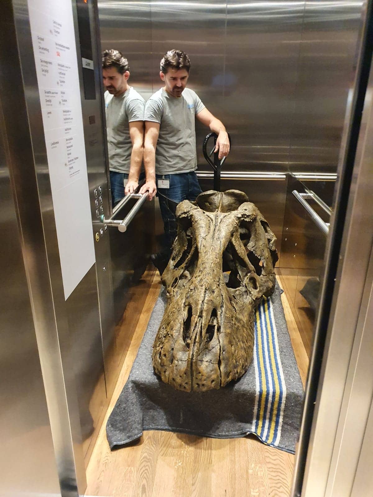 Fossilien & Dinosaurier | Im Fahrstuhl mit dem Schädel des 3D-Drucks T-Rex Trix | Naturalis Biodiversity Center | Nagasaki Japan 