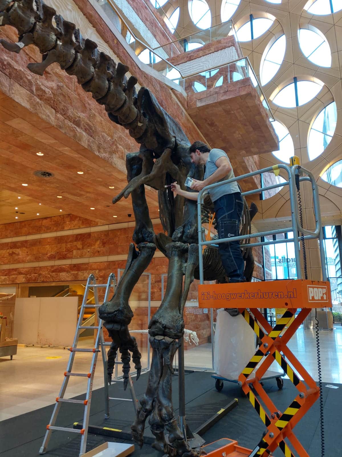 Fossielen & Dinosauriërs | Schilderen en montage van 3D-print T-Rex Trix | Naturalis Biodiversity Center | Nagasaki Japan