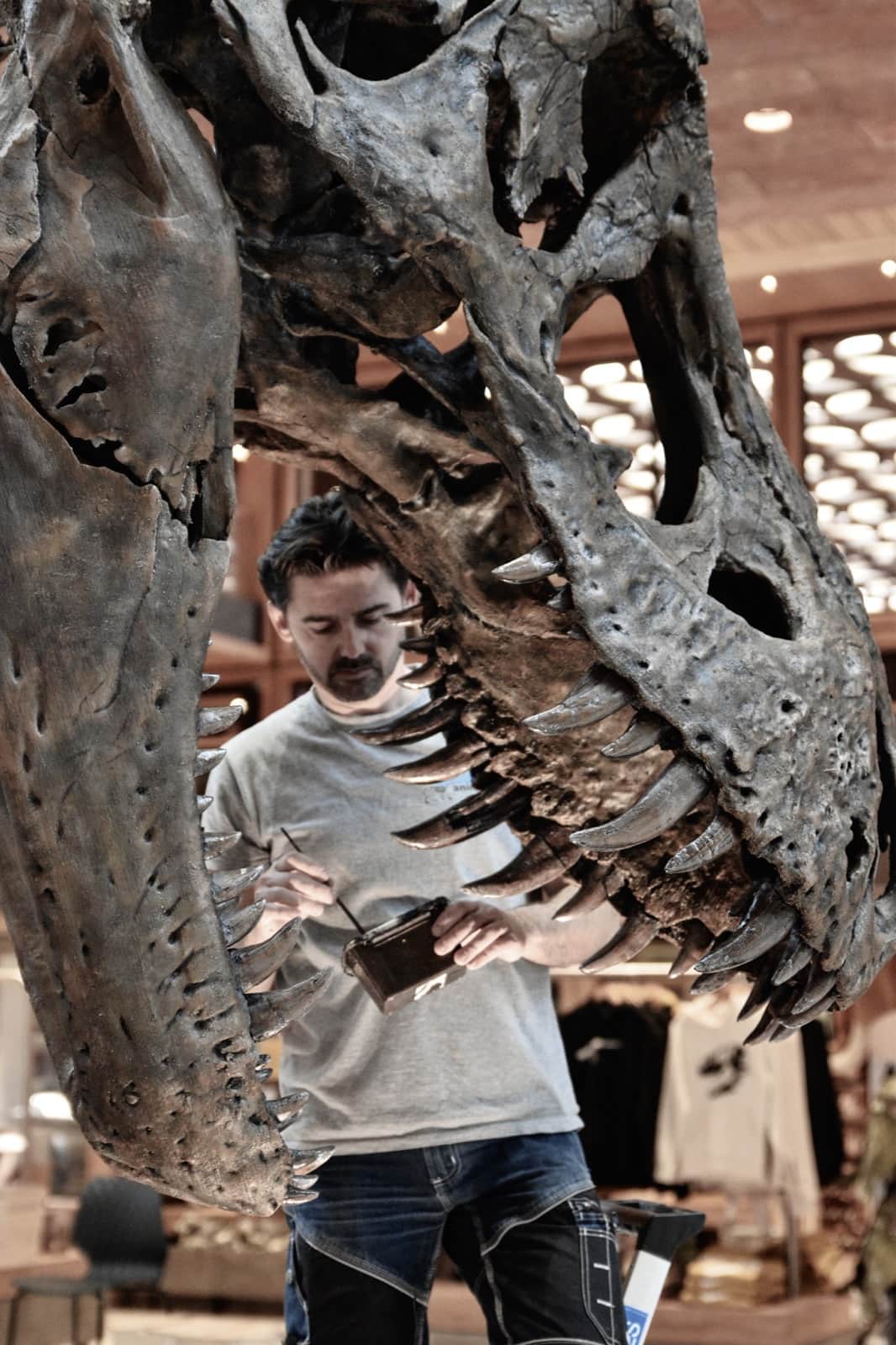 Fossilien & Dinosaurier | Lackier- und Montagearbeiten 3D-print T-Rex Trix | Naturalis Biodiversity Center | Nagasaki Japan