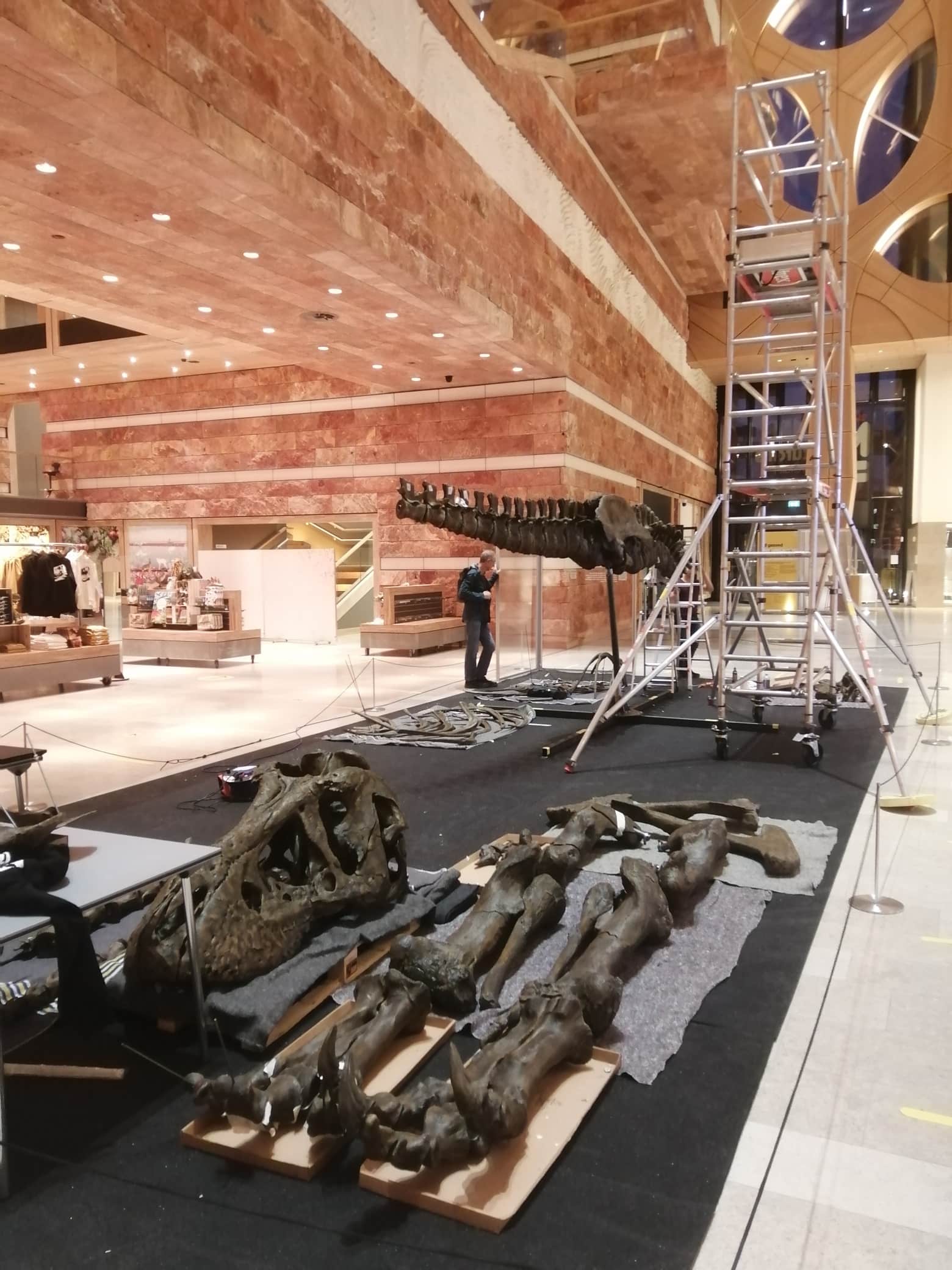 Fossilien & Dinosaurier | Montage 3D-print T-Rex Trix | Naturalis Biodiversity Center | Nagasaki Japan
