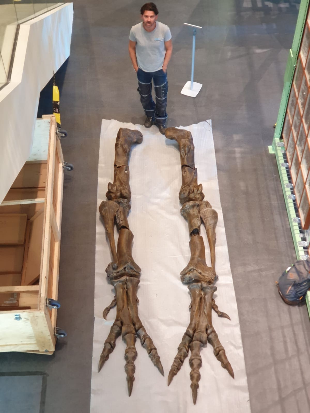 Fossilien & Dinosaurier | Bemalen der Beine des 3D-Drucks von T-rex Trix | Naturalis Biodiversity Center | Nagasaki Japan