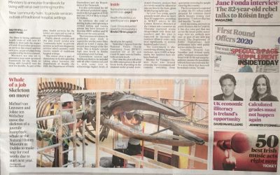 Irish Times | Disassembly Humpback Whale in National Museum of Ireland – Natural History, Dublin