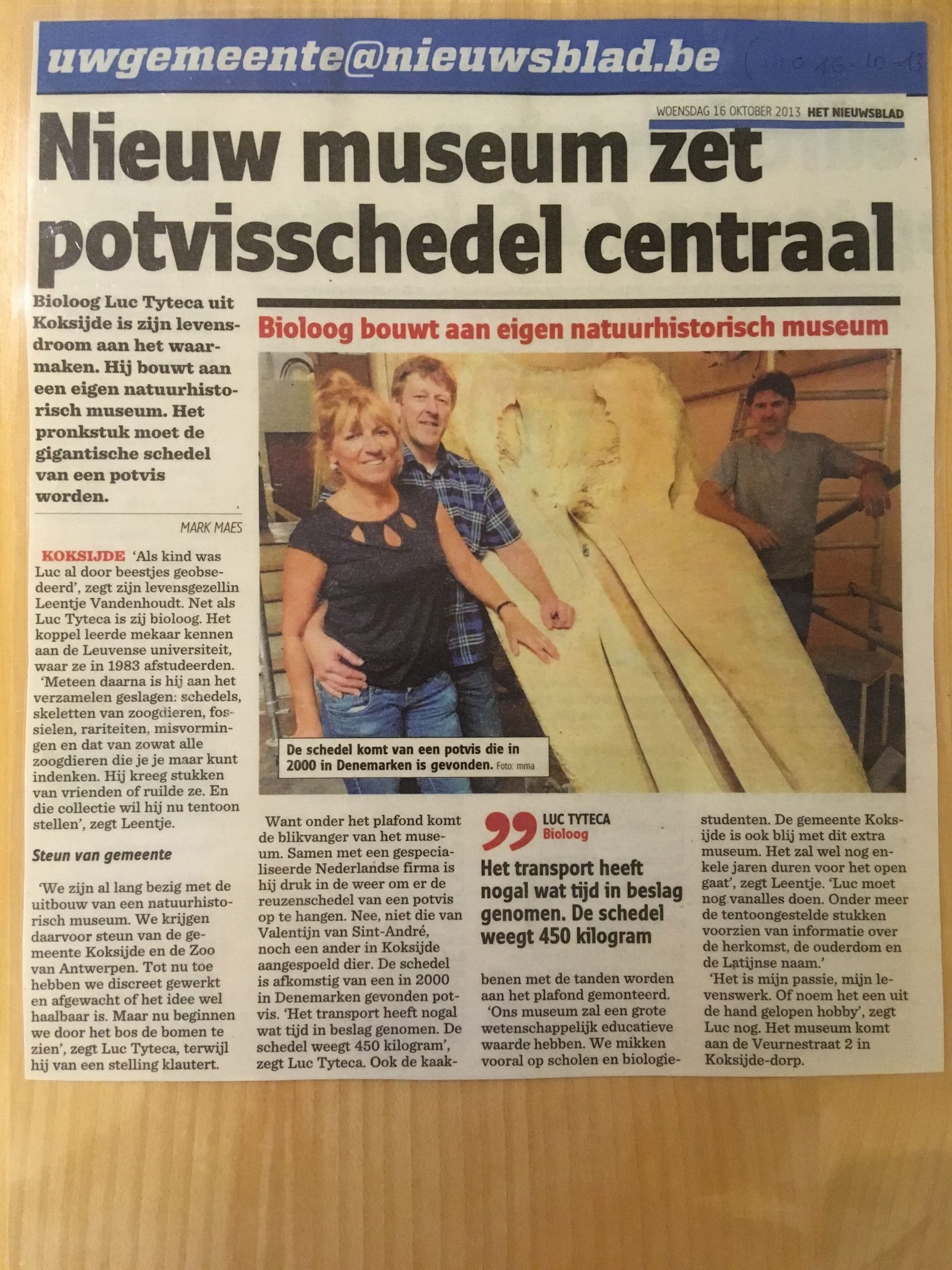 Krantenknipsels | Potvisschedel Museos | Nieuwsblad
